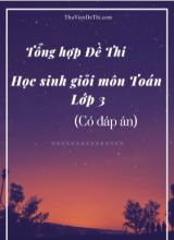 Tổng hợp Đề thi học sinh giỏi môn Toán Lớp 3 (Có đáp án)